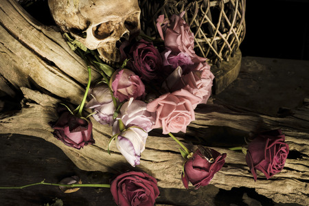 still life Photography with flowerの写真素材