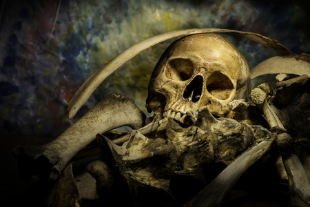 Still life with coffee beans and skull