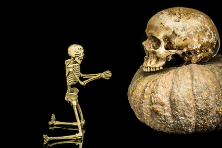Skull Haloweenの写真素材