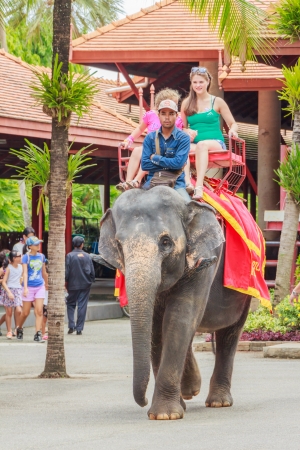 PATTAYA, THAILAND - AUGUST 3  Tourists women and girl 8-12 years old on an elephant ride tour of the Nongnooch Tropical Garden   Resort on August 3, 2013 in Pattaya,Thailandのeditorial素材