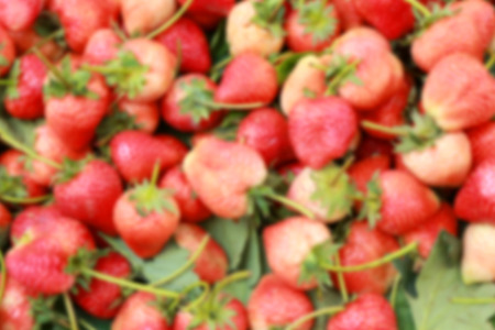 blurred strawberry backgroundの写真素材