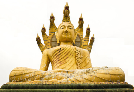  big budda isolated backgroundの写真素材