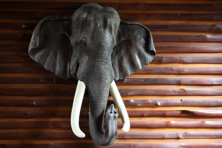 ancient wood carving elephantsの写真素材