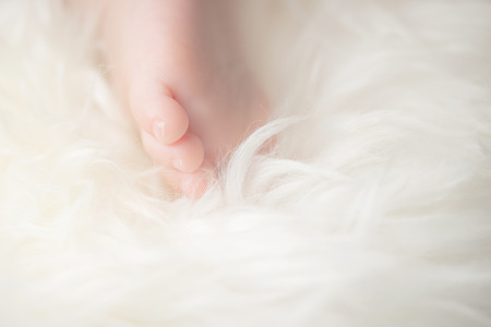 Bare feet of a cute newborn baby in warm white blanket. Childhood. Small bare feet of a little baby girl or boy. Sleeping newborn child.の写真素材