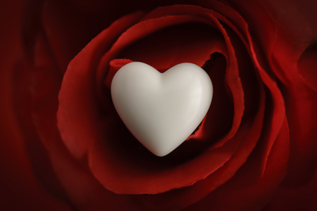 Flat view of valentines hearts on red rose background with copy space. Symbol of love. Happy Valentines Day background. Can be used for celebrations valentines day.の写真素材