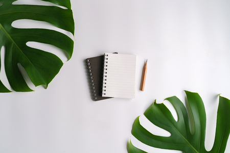 White cosmetic products and green leaves on white background. Natural beauty products for branding mock-up concept.の写真素材