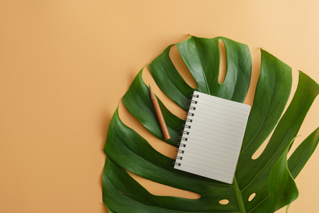 A blank notepad with pencil on green leaves background. Natural beauty product for branding mock-up concept.の写真素材