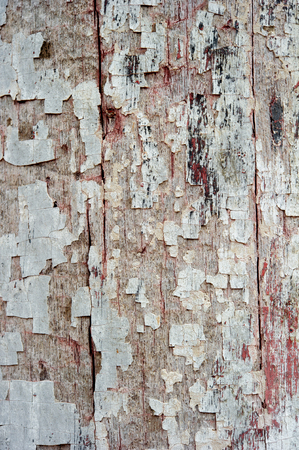 Old grunge red wood textures backgrounds. Can be use as background texture or wallpaper.の写真素材