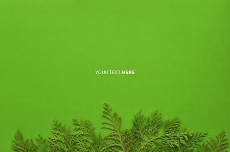 Christmas background template with frame of fir branches in green color background. Flat lay, top...