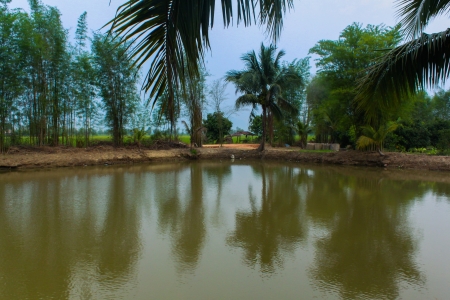 Farms and langue  in the countryside の写真素材