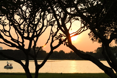 Sunset in the parkの写真素材