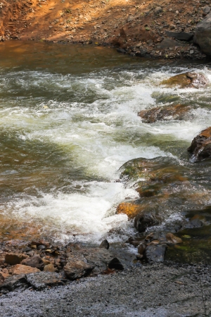 Wild Waterの写真素材