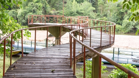 wood bridge in the forestの写真素材