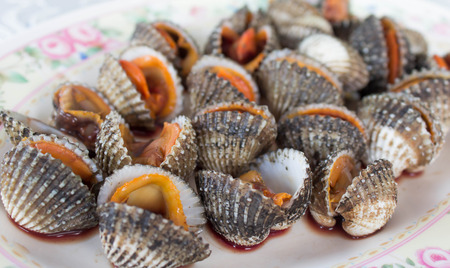 eating the sea shell cockle on dishの写真素材