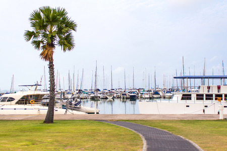 Walk to Yacht Harbor  Yachts and boats in marina of Pattaya Thailandの写真素材