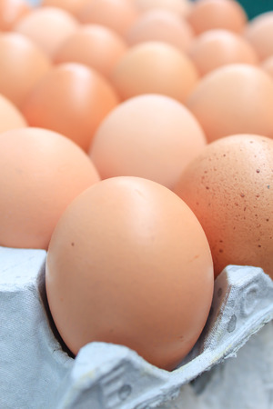 Lot of brown eggs in the packageの写真素材