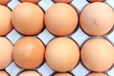 Lot of brown eggs in the packageの写真素材