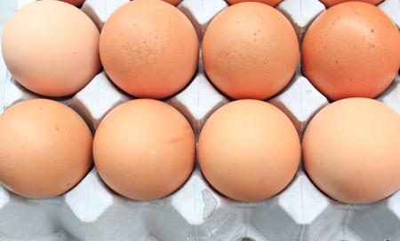 Lot of brown eggs in the packageの写真素材