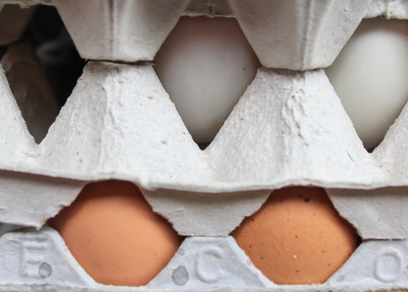 eggs in the packageの写真素材