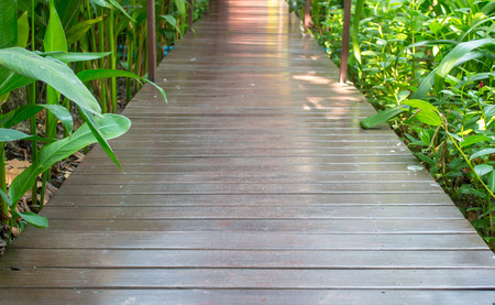 Wooden bridge and green grassの写真素材