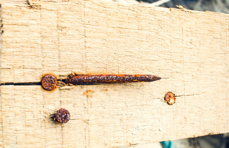 wood texture with a rusty nailの写真素材