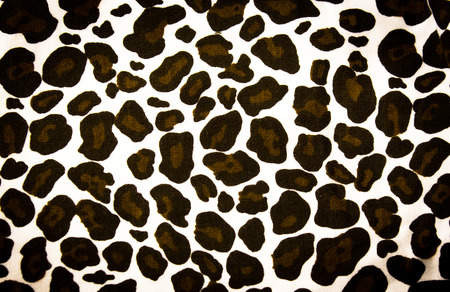 The leopard skin pattern backgroundの写真素材