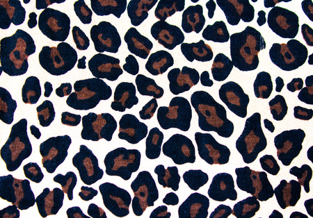 The leopard skin pattern backgroundの写真素材