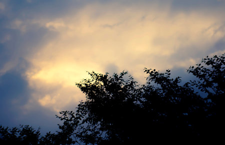 Sky  at eveningの写真素材