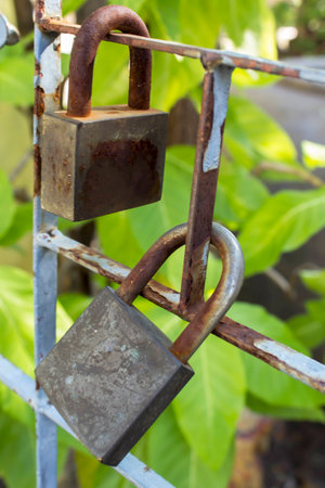 Two rusty padlock on green backgroundの写真素材