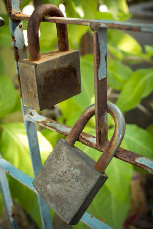Two rusty padlock on green backgroundの写真素材