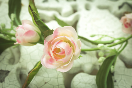 vintage roseの写真素材