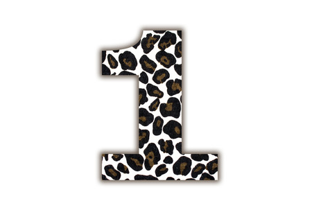 Custom leopard skin alphabet , isolated in white background.の写真素材