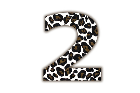 Custom leopard skin alphabet , isolated in white background.の写真素材