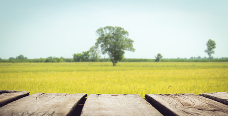 wooden floor with blurred trees center fieldの写真素材