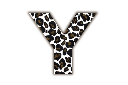 Custom leopard skin alphabet , isolated in white background.の写真素材