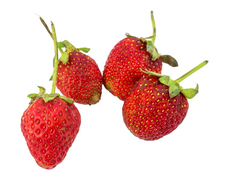 Fresh strawberries on white backgroundの写真素材