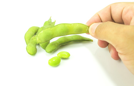 Fresh  soybean   isolated on white backgroundの写真素材