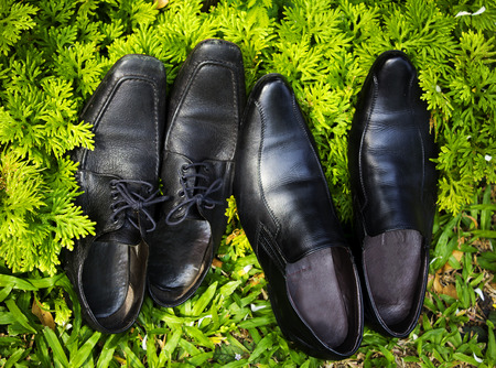 Two pairs of leather shoes  on a background of a grassの写真素材