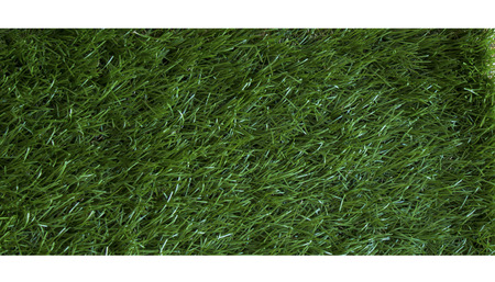 grass background