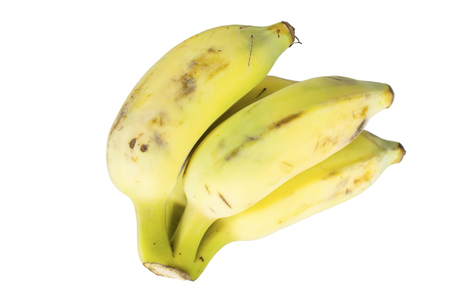 Asian Banana or Cultivated Banana  on the white background.の写真素材