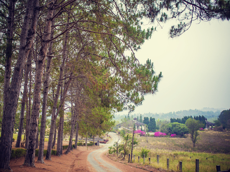 natural countrysideの写真素材