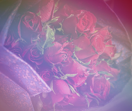 Rose. Red roses. Bouquet of red roses.の写真素材