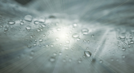 The water drops on green leaves in the rainy seasonの写真素材