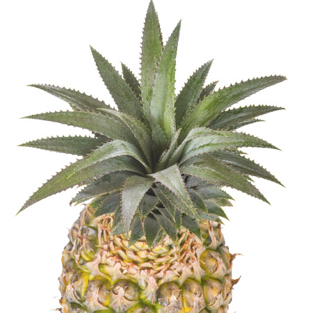 Pine apple isolated on white background. Fresh fruitsの写真素材