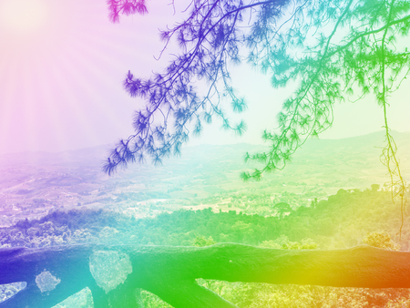 Shadow branch with colorfull background.の写真素材