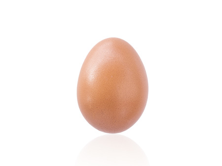 Close up of an egg isolated on white backgroundの写真素材