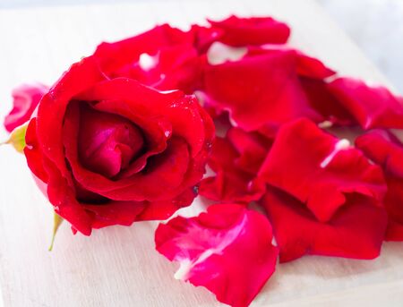 Background of red rose petalsの写真素材