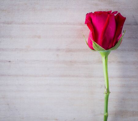Red roses on a wooden background,Valentine's Day Conceptの写真素材