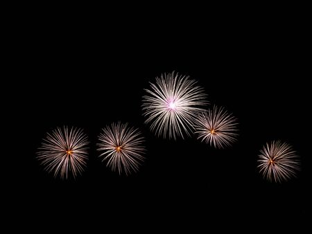 Colorful firework in dark skyの写真素材