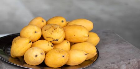Fresh mangoes are sold in the fruit street marketの写真素材